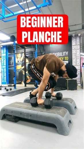Beginner Planche Progression – First Steps Toward the Planche #calisthenics