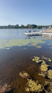 Lily Pad Removal with zero chemicals! If you have lily pads invading your swim areas give J&D for a free quote! #seaweedremoval #lilypad #lake #pond #fishing | J&D Lake Services