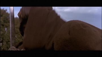 Flesh+Blood (1985) Trailer HD