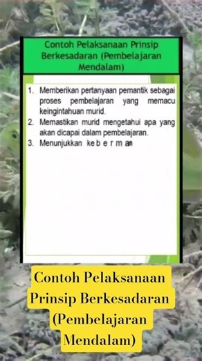 Examples of Implementation of the Principle of Awareness (Deep Learning)