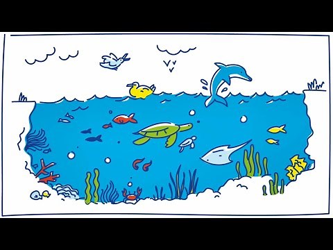 Pourquoi faut il protéger la biodiversité marine ?