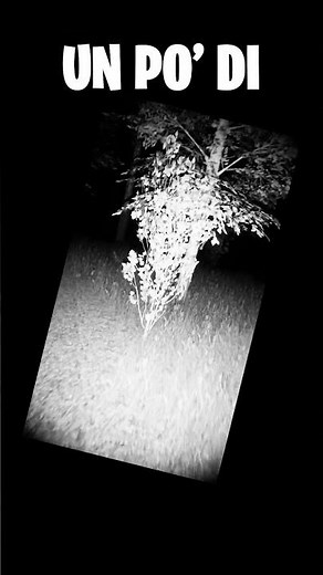 Slender è stato AGGIORNATO...! (Nostalgia)