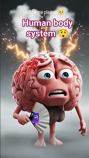 Human Body Organs Explained | Learn About Internal Organs