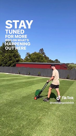 Back Lawn Recovery and Maintenance Tips