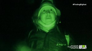 Finding Bigfoot Download
