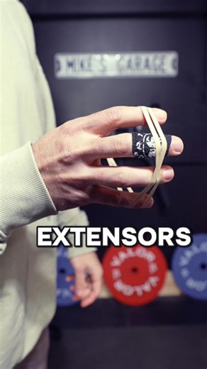 Michael Eckert on Instagram: "Finger and Wrist Extensor Exercises. I wanted to show you the more manageable exercises that do a great job with training these areas vs the more ideal and heavily involved versions. Hope this helps 💪 #fitness #exercise #gripstrength #strengthtraining"