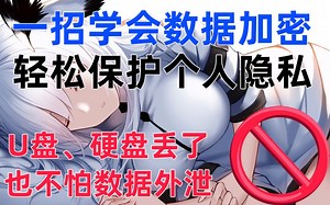 【教你加密你的敏感数据】BitLocker简单两步完成硬盘、u盘数据加密保护隐私必学技能！