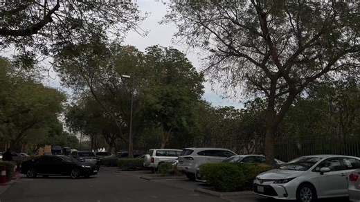 Discover the National Museum: A Quick Tour