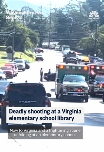 A teenage gunman forced his way into an elementary school library in Waynesboro, Virginia and opened fire, wounding a staff member, police say. It appears the suspect then died from a self-inflicted gunshot wound, police added.