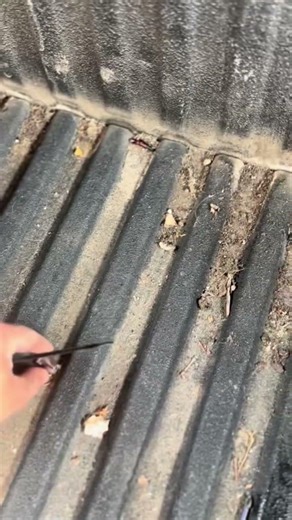 EASILY removable setup or nothing #canopysetup #roadtrip #camping #touring #homeonwheels