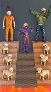 LET'S JUMP UP THE LADDER WITH MY PET?#dog #cat #funny #shots