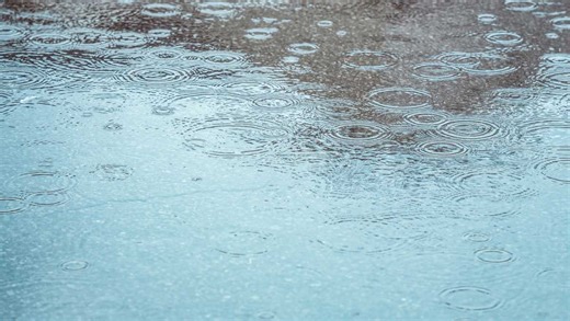 24-Hour rainfall totals | How much did we get?