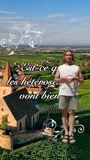 Le Tréma on Instagram: "et vous l’olive vous la mettez où????"