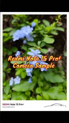 Redmi Note 15 Pro Plus Camera Samples Test #redminote15proplus #shorts #viralvideo