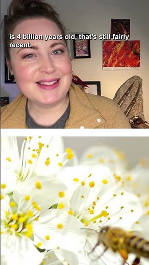 Scientists watched a single-celled organism become multicellular #pbseons #science #evolution