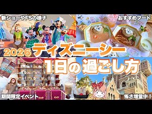 2026年新エリア･新ショーの様子は？ビリーヴが休止中ならではの楽しみ方とは？シーを満喫した1日を紹介！【ディズニーシー周り方/攻略法】