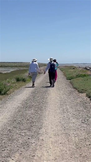 Hayward Regional Shoreline