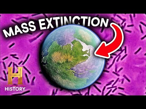 The Lava Flood That Could Bury Texas | How the Earth Was Made (S2) | History