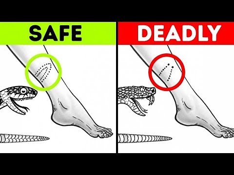 17 IMPORTANT SURVIVAL HACKS THAT CAN SAVE YOUR LIFE