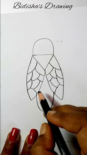 How to draw a fly easy