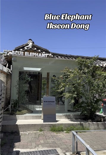 Blue Elephant at Ikseon Dong 🕶️ #blueelephant #ikseondong #seoul #korea #sunglasses #fyp