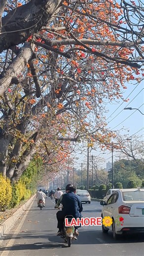 Explore the Beauty of Lahore, Pakistan