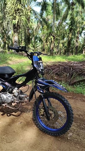 Exploring RBT Crypton: A Fun Look at Indonesia's Trends