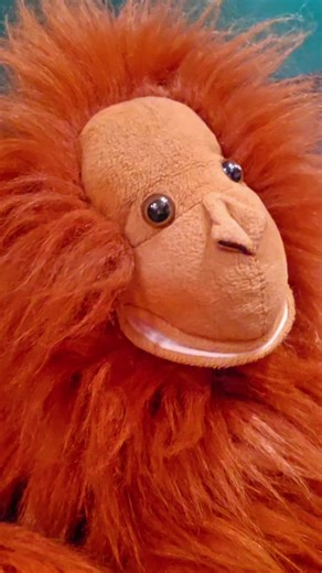 Exercise?? #gingerbarry #puppet #funny #joke