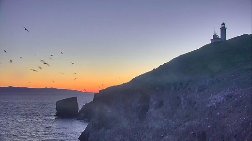 Anacapa Island Live Camera - Channel Islands National Park | Explore.org