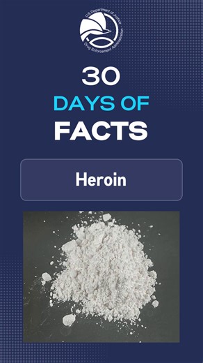 Heroin is made from morphine, a naturally occurring substance extracted from the seed pod of certain varieties of poppy plants grown in Mexico, South America, Southeast Asia & Southwest Asia. #DEADrugFacts https://www.getsmartaboutdrugs.gov/sites/default/files/2024-12/Heroin-Drug-Fact-Sheet.pdf | Drug Enforcement Administration - DEA