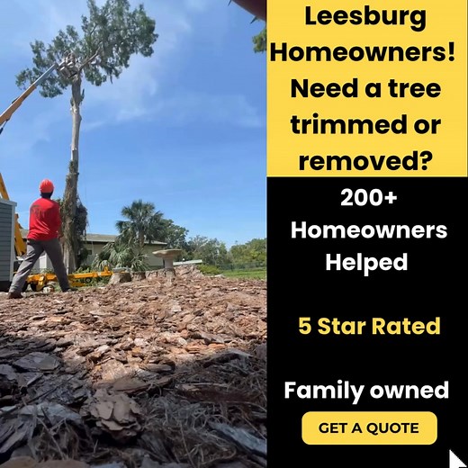 🌳 Got trees hanging over your roof or stumps ruining your yard? Webb Bro’s LLC offers safe, insured tree trimming, stump grinding, and land clearing for Leesburg homeowners who want their property storm-ready. We show up on time, clean up right, and leave your yard looking better than ever. 💪 Don’t wait until the next storm hits, schedule your free estimate today and get your property cleaned, cleared, and protected. | Webb Bro’s LLC