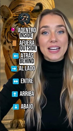 Learn IN, ON, ABOVE, BELOW and More — Super Easy 🇺🇸🇪🇸