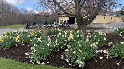 11 Fantastic Golf Courses To Play In Massachusetts