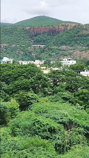 Beautiful Tirumala Tirupati View | Divine Temple Darshan #Tirumala #Tirupati #TirumalaTirupati