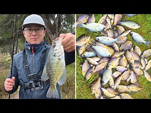 Winter Bank Fishing Frenzy! Crappie, Yellow Perch & Bluegill – Non-Stop Action and Limit of Crappie!