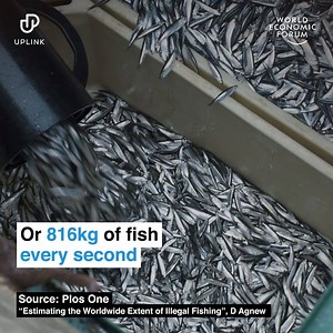 50K views · 953 reactions | Bringing high tech to the high seas.  Discover more innovations like this, or to share your own, sign up to UpLink: https://bit.ly/2ZiZHX7 | World Economic Forum | Facebook