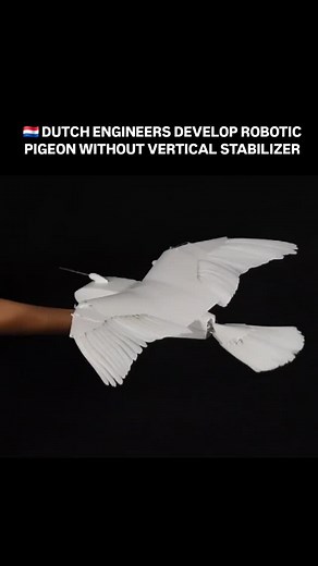 Artificial Intelligence | AI on Instagram: "Dutch engineers have unveiled the PigeonBot II, a drone that ditches the vertical stabilizer and flies just like a real bird. Creator David Lentink says this breakthrough could make planes stealthier and more fuel-efficient. Who knew pigeons had so much to teach us? Source: Sputnik"