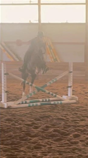 HOLY PONYY #RideForAnnie#rideforhannah#horse#equestrian#shorts#pony#cute#ride#baby#mares#fypシ゚viral