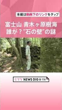 富士山の麓、青木ヶ原樹海に延長2kmの“石の壁” いったい誰が何のために？ いまだ解明されない謎 #shorts #uty #樹海 #遺跡 #石塁 #青木ヶ原樹海 #ミステリー#謎# 富士山