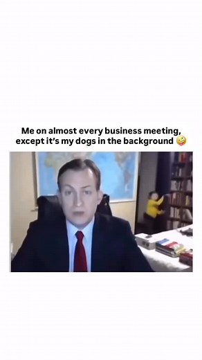 Who is with me here? And why do dogs suddenly start barking every time you hop on a zoom? 😂 | Michelle MacDonald