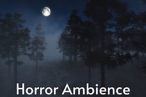 40 Horror Ambience Sounds SFX Pack - Scary Creepy Ambiences | Audio Sound FX | Unity Asset Store