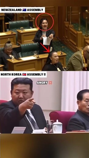 OTHER PARLIAMENT VS NORTH KOREA PARLIAMENT