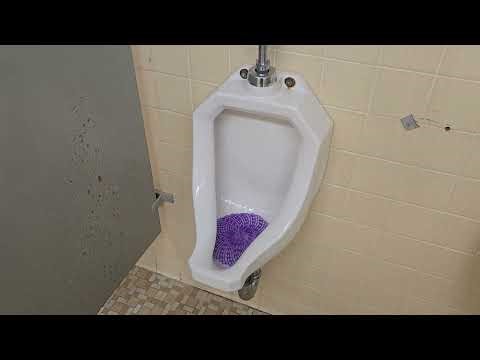 [452] Eljer Bedfordshire Urinals and Kohler Wellworth Toilets in NC Library