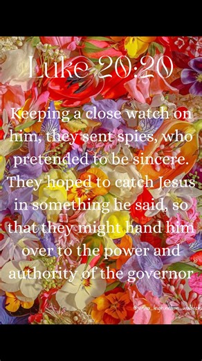 December 20th, day 20 of 24, Luke 20 summarizes Jesus' final days in Jerusalem, where religious leaders repeatedly challenge his authority through tricky questions, leading to his powerful Parable of the Wicked Tenants, his famous "Render unto Caesar" response about taxes, his teaching that the resurrected live like angels (not marrying), and his scathing critique of the hypocritical, honor-loving scribes, concluding with his foretelling his rejection and resurrection. Here's a breakdown of key 