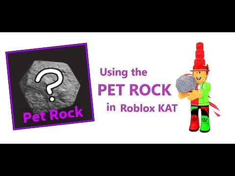 Using the Pet Rock in Roblox KAT