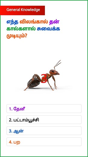 GK Questions || GK In Tamil || Pothu Arivu || GK Quiz || Mukkiyamaana Kelvigal