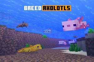 How to find and breed axolotls in Minecraft 1.19