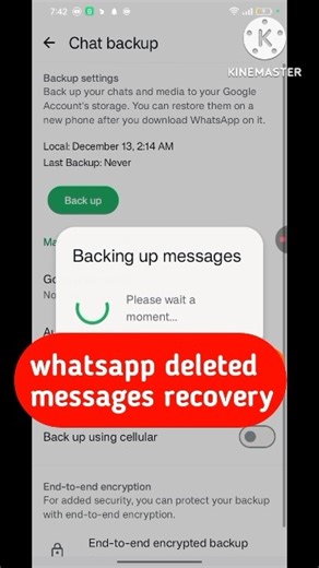 whatsapp deleted messages recovery | whatsapp deleted messages recovery app