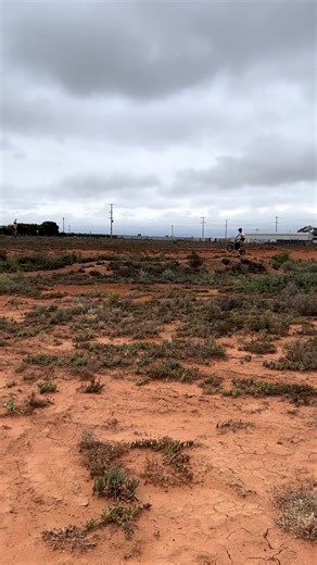 Finally riding again 🥳🥳#clean🧼surronhyperbee @Andre ®🌴 #summervibesonly #fyp #dontletthisflop #unlockmylikes