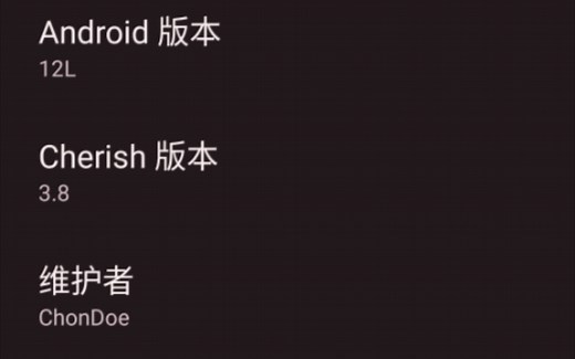 通过DSU安装任意镜像，实现原生自由，不清数据